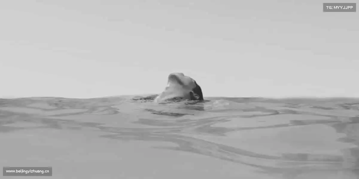 南宫NG28🥊对抗地心引力,打破自我边界 —— 这里,是超越的开始!